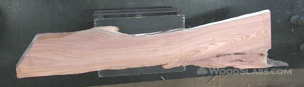 Mulberry Wood Slab #XGM-UNU-CIM8