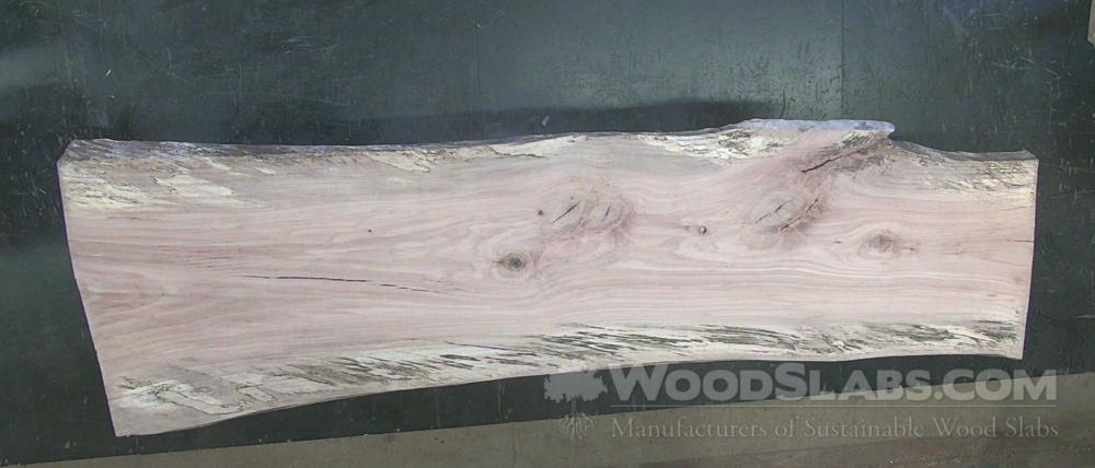 Willow Oak Wood Slab #IPG-9CW-YUWL