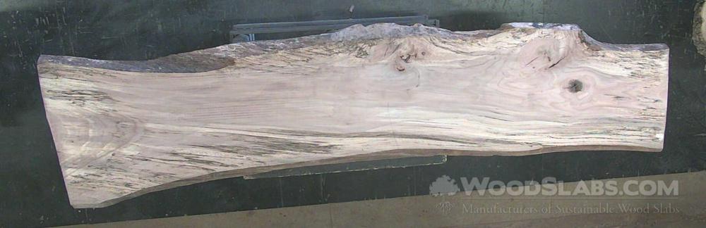 Willow Oak Wood Slab #RDF-VH3-X16H