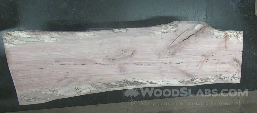 Willow Oak Wood Slab #4SW-QZU-80K9