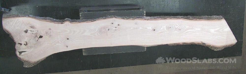 White Ash Wood Slab #EYZ-MQU-4XQQ