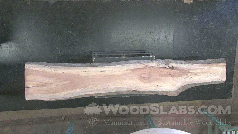 Sycamore Wood Slab #S3E-C6V-8IR1