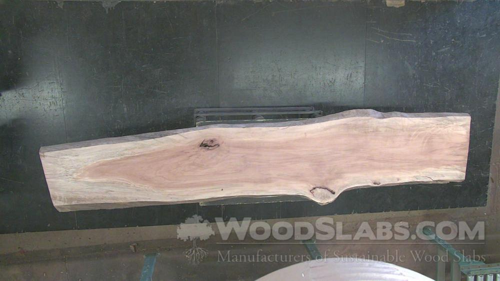 Sycamore Wood Slab #WD4-U3C-VUHI