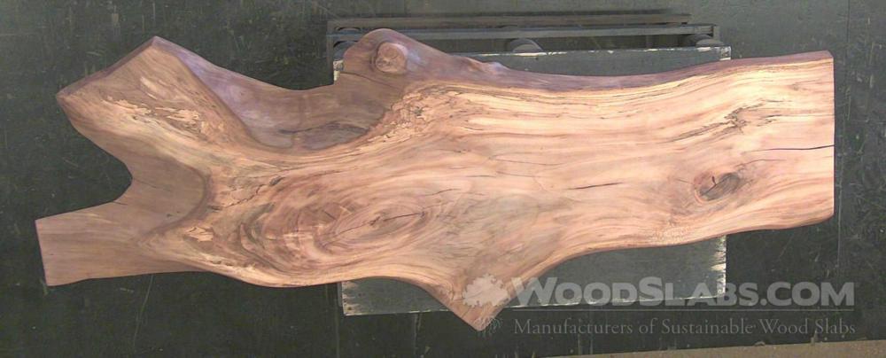 Sycamore Wood Slab #8YY-85B-92DG