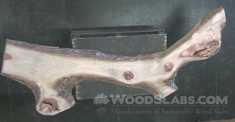 Camphorwood Wood Slab #72D-C8T-WSBE