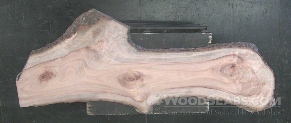Camphorwood Wood Slab #CTC-KJO-7N0F