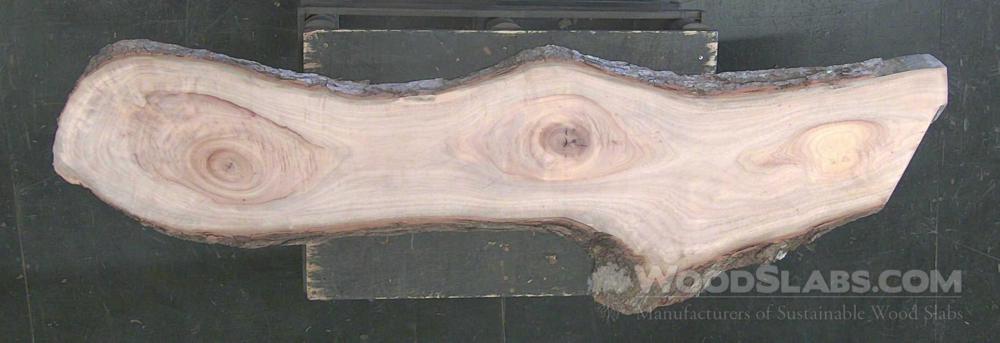 Camphorwood Wood Slab #J8P-Y7E-1UYY