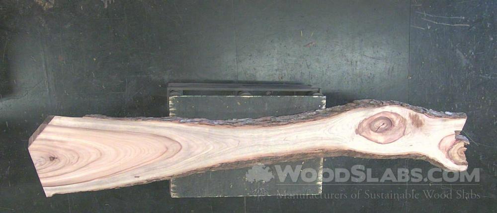 Camphorwood Wood Slab #3WB-ZPM-J5D7