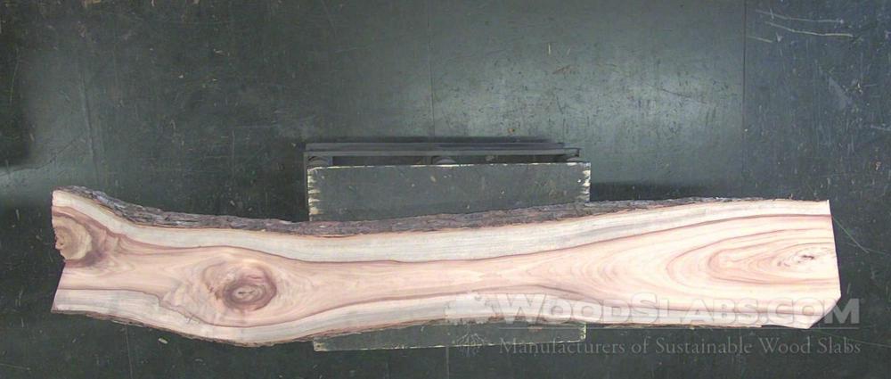 Camphorwood Wood Slab #59N-1YX-YLTF