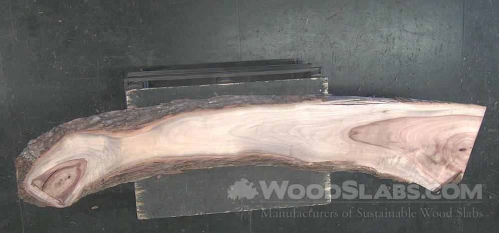 Camphorwood Wood Slab #LWS-Z3K-D37W