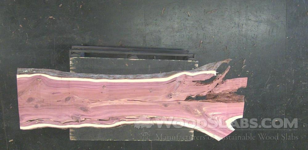 Aromatic Cedar Wood Slab #Q8R-8FD-P9FA