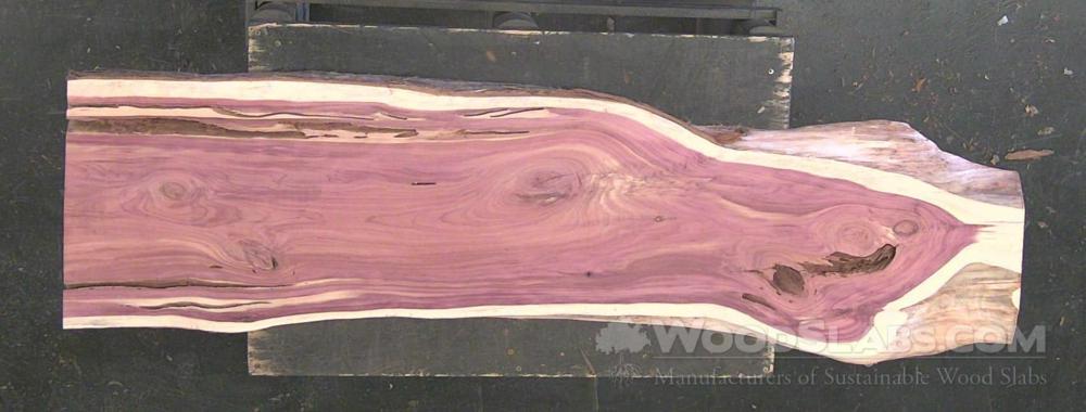 Aromatic Cedar Wood Slab #8IT-ZDY-HGWY