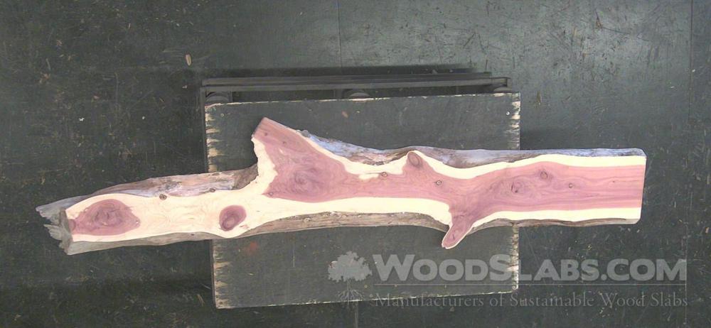 Aromatic Cedar Wood Slab #W3H-32Z-OGYK