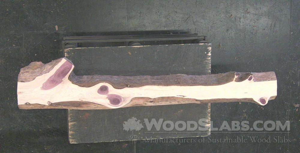 Aromatic Cedar Wood Slab #AIM-ORC-YPOH