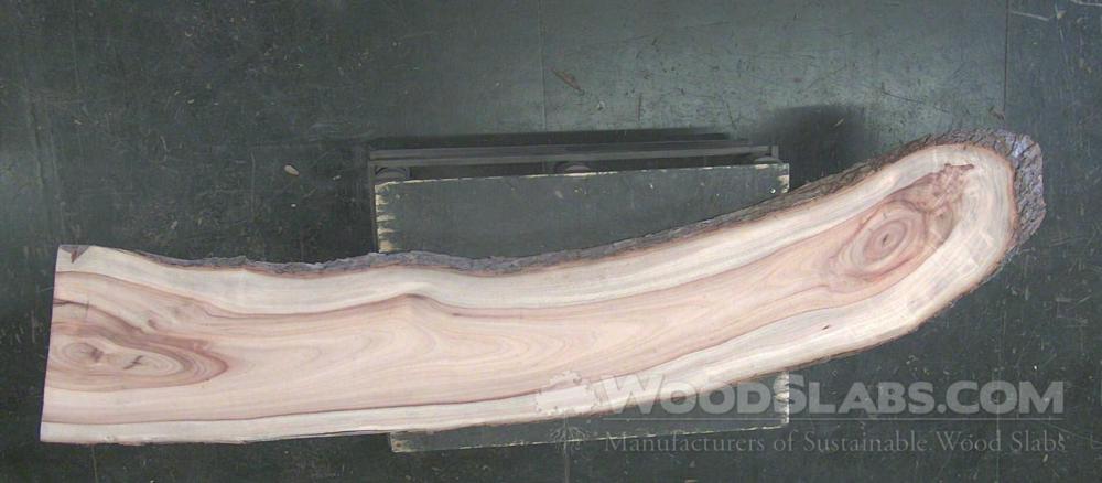 Camphorwood Wood Slab #2IQ-8AT-HE1G
