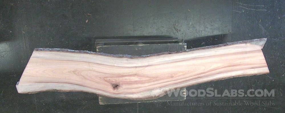 Camphorwood Wood Slab #C1J-NZO-0H6R