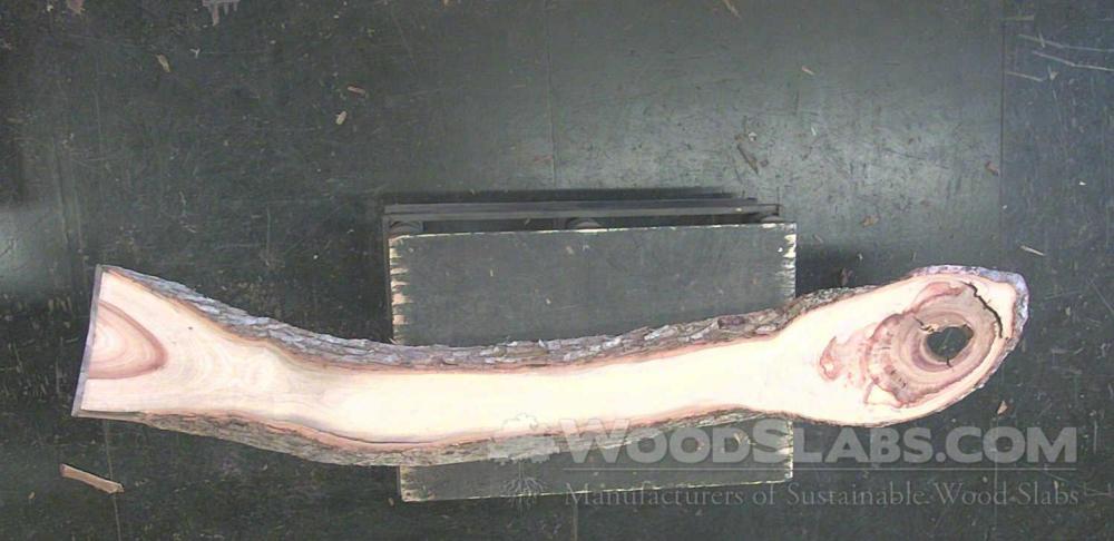 Camphorwood Wood Slab #SG0-Z49-1VQU