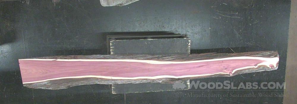 Aromatic Cedar Wood Slab #4LX-MZB-I5QD