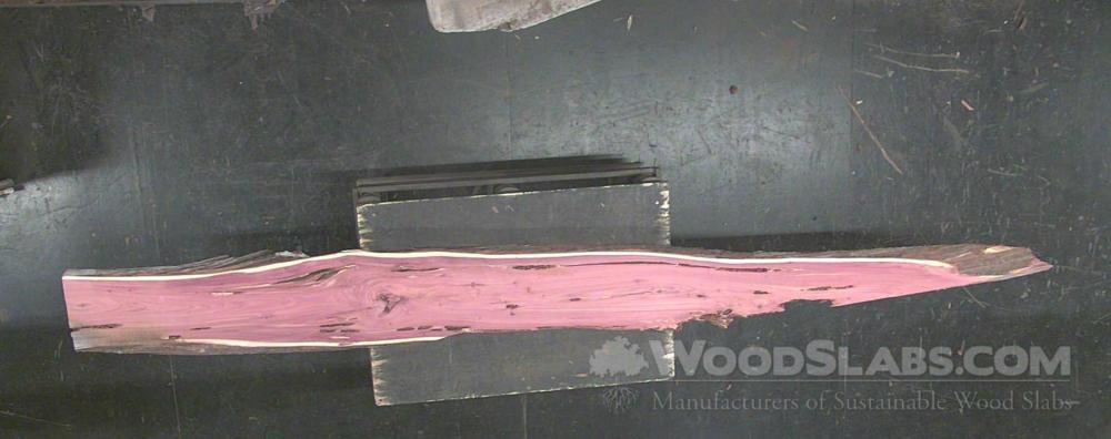 Aromatic Cedar Wood Slab #HWM-OMQ-4AKA