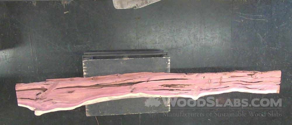 Aromatic Cedar Wood Slab #XHD-W2G-9OU3