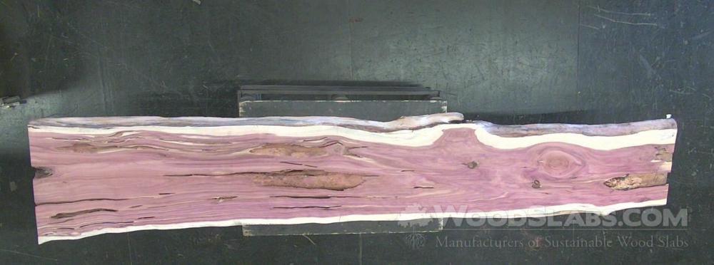 Aromatic Cedar Wood Slab #GRE-FEV-2TYC