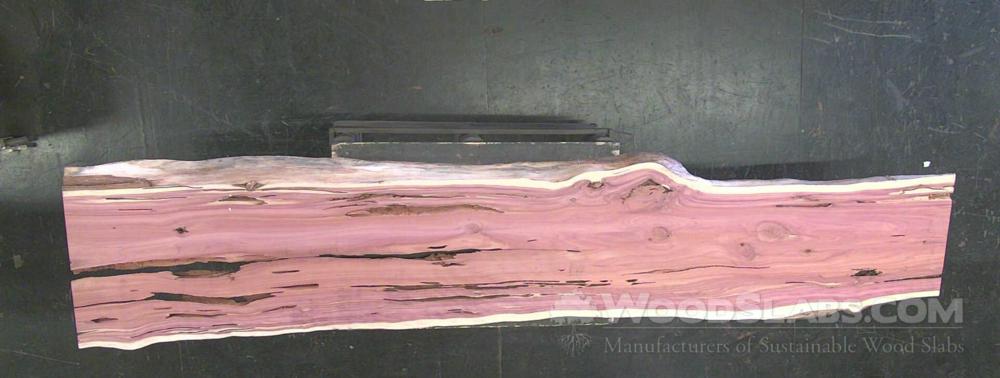 Aromatic Cedar Wood Slab #8NU-VU6-11T5