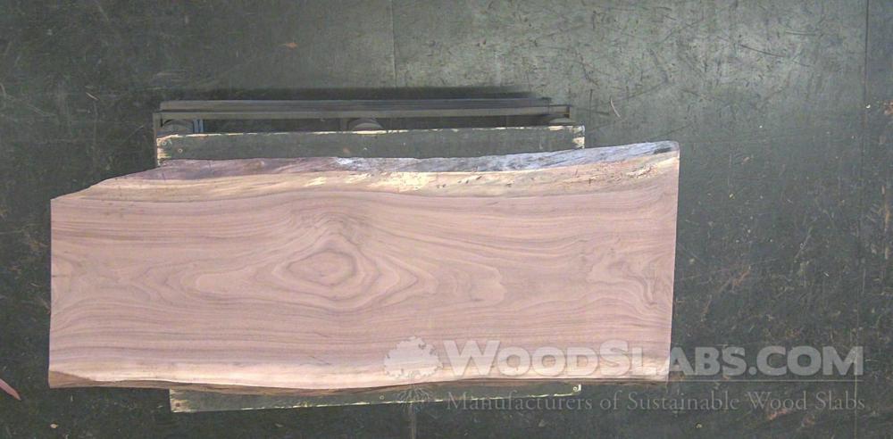 Walnut Wood Slab #U1Q-FKK-MQ1B