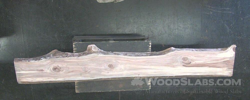 Eucalyptus Wood Slab #L1P-4SJ-G750