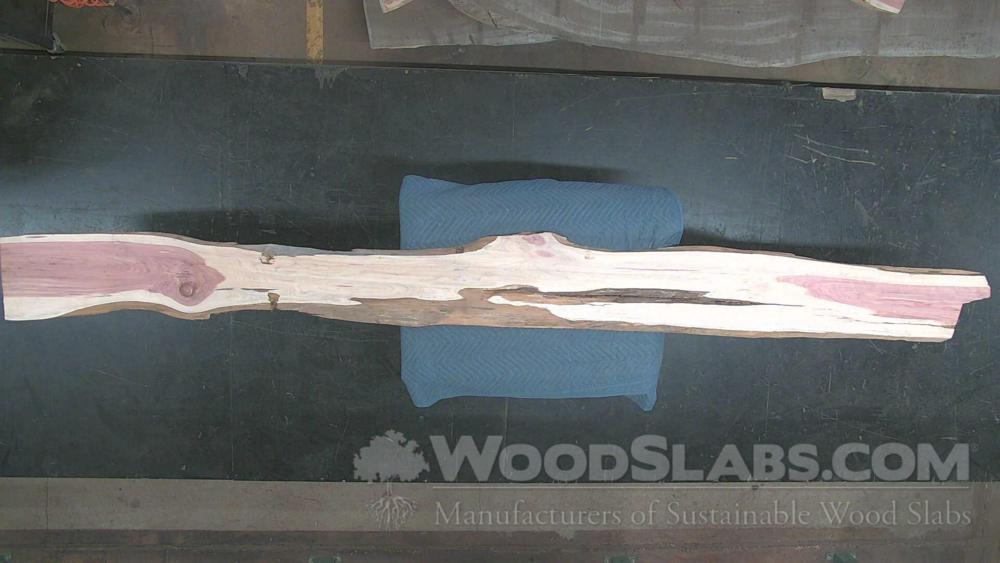 Aromatic Cedar Wood Slab #758-JTV-2R97