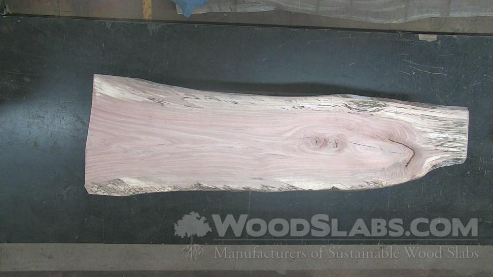 Willow Oak Wood Slab #3MS-X5W-G7NB