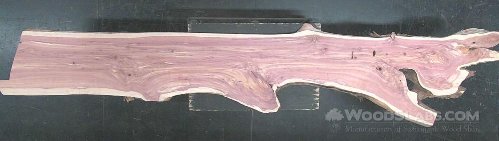 Aromatic Cedar Wood Slab #0T8-LXX-YUZR