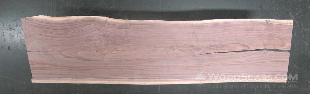 Walnut Wood Slab #MA5-1M9-D1QZ