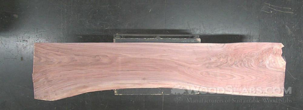 Walnut Wood Slab #9A7-0MS-Z9BH