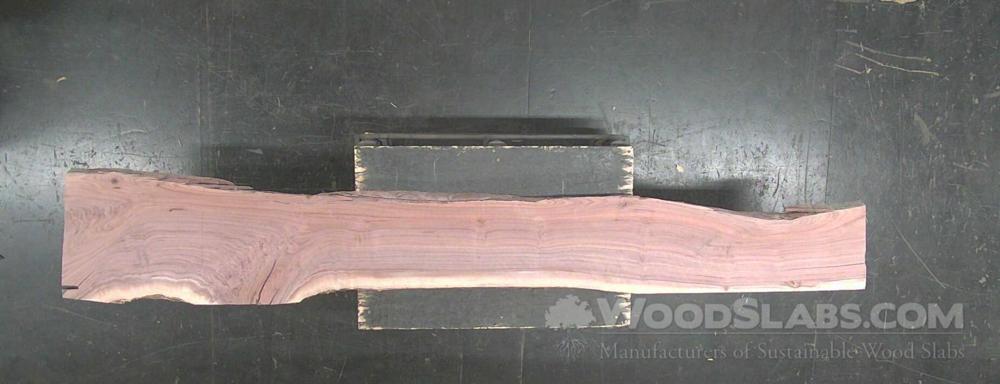 Walnut Wood Slab #SJG-RW5-0WT0