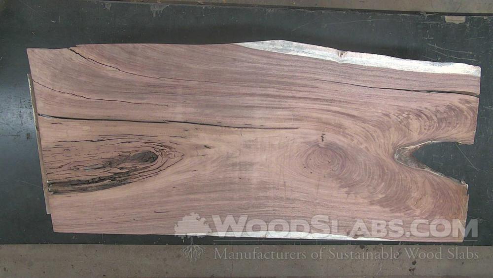 Parota Wood Slab #V9A-4U2-E6OP