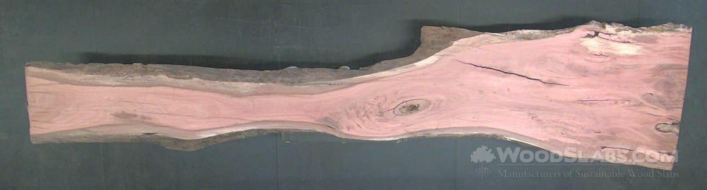 Eucalyptus Wood Slab #RVC-W4S-0Z39