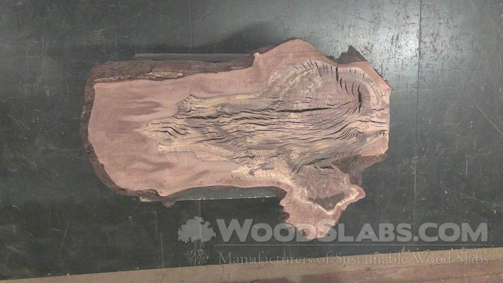 Claro Walnut Wood Slab #J1J-ZII-NDWL