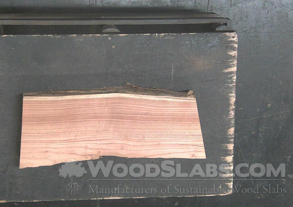 Mulberry Wood Slab #XG7-19B-WY0Y