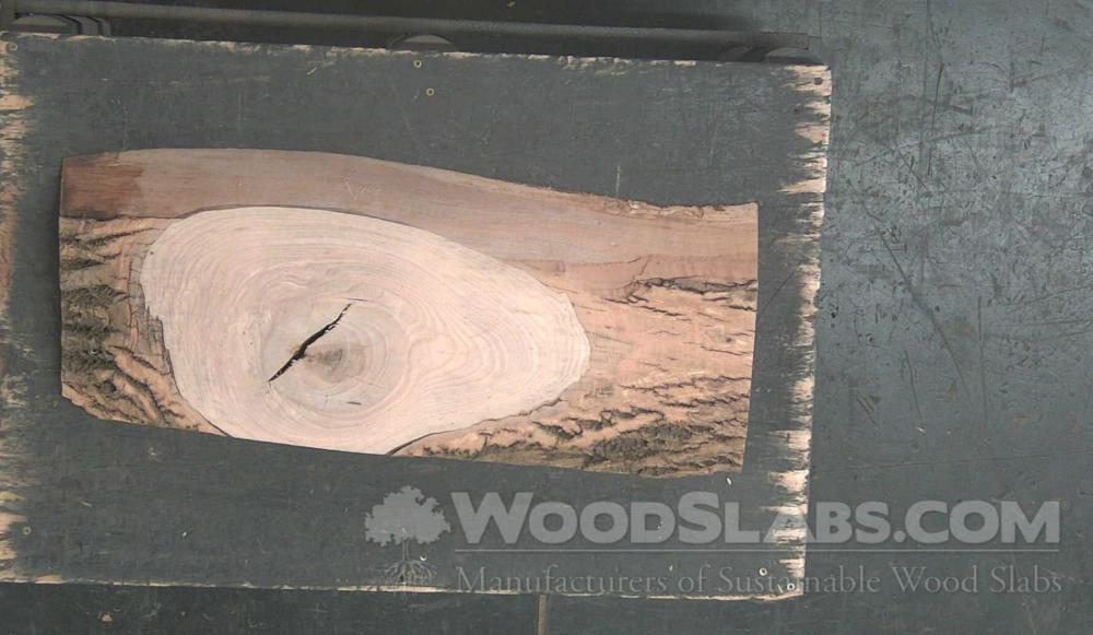 White Ash Wood Slab #YDB-0IY-CL6L