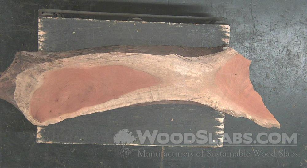 Mahogany Wood Slab #ZCR-SNF-EL3F