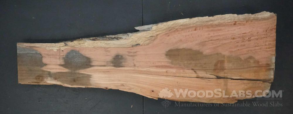 Eucalyptus Wood Slab #MRQ-VR5-BO9L