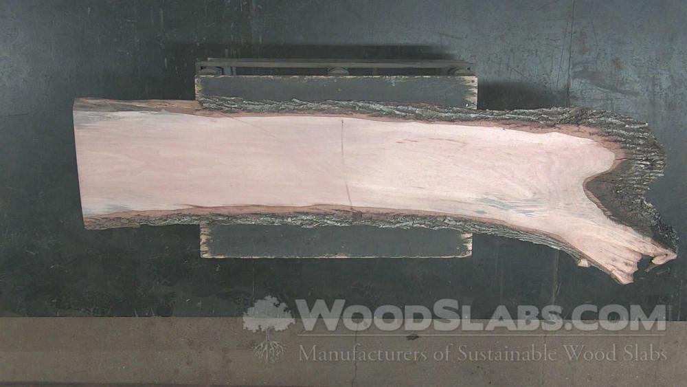 Sycamore Wood Slab #T3U-OQI-PSHD