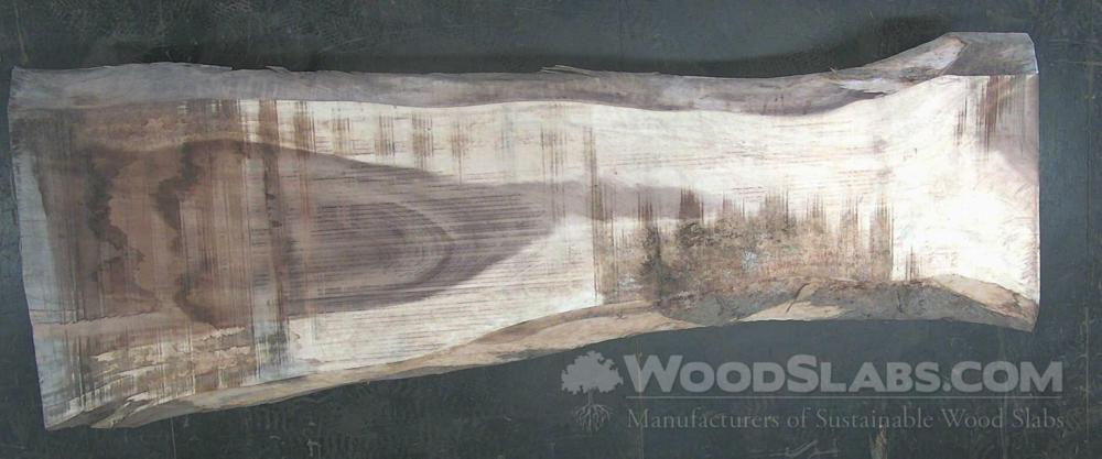 Monkey Pod Wood Slab #FUH-YVZ-L3A3