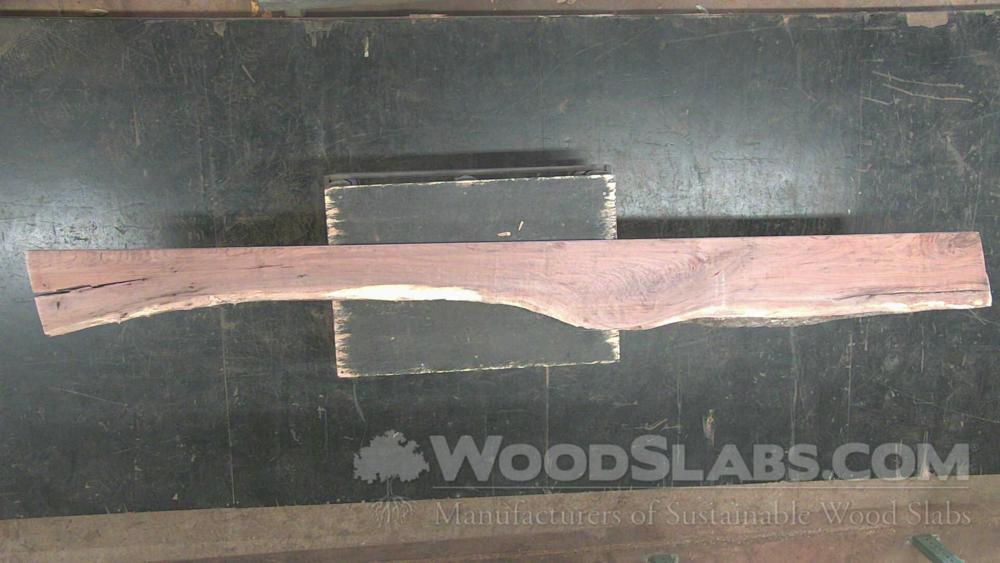 Walnut Wood Slab #RRP-SCM-OFGX
