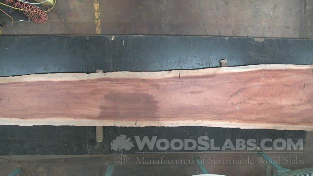 Tigerwood Wood Slab #VM6-I4N-TLDE