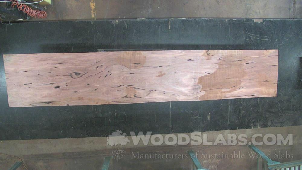 Pecky Bolivian Walnut Wood Slab #LO4-VME-FMMZ