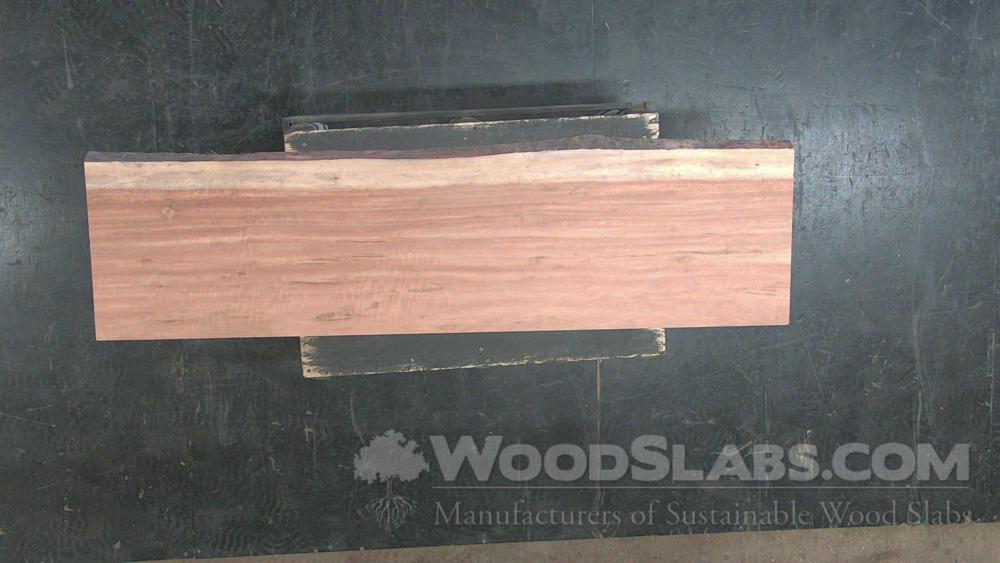 Tigerwood Wood Slab #PVU-2Q9-TKO0