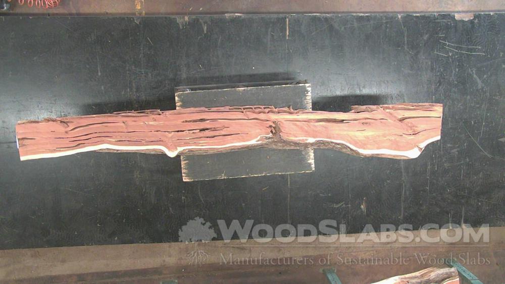 Aromatic Cedar Wood Slab #QIV-I5M-WLYA