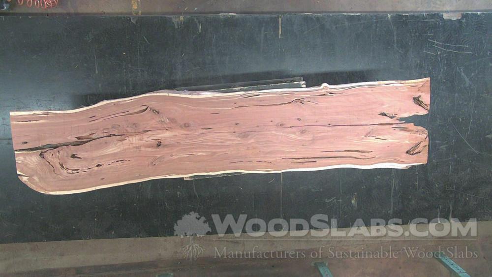 Aromatic Cedar Wood Slab #3HC-UWL-EXEF