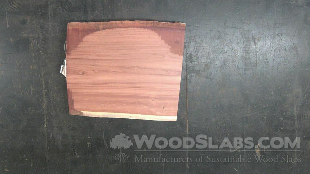 Tigerwood Wood Slab #SCP-9YA-UH2J